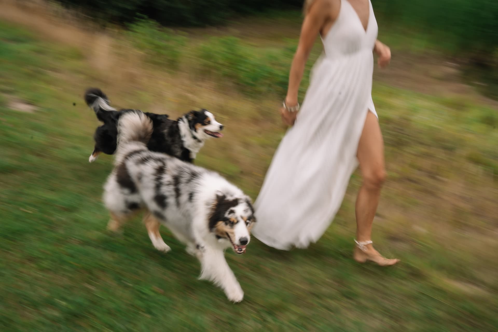 Eva met haar honden, liggend beeld