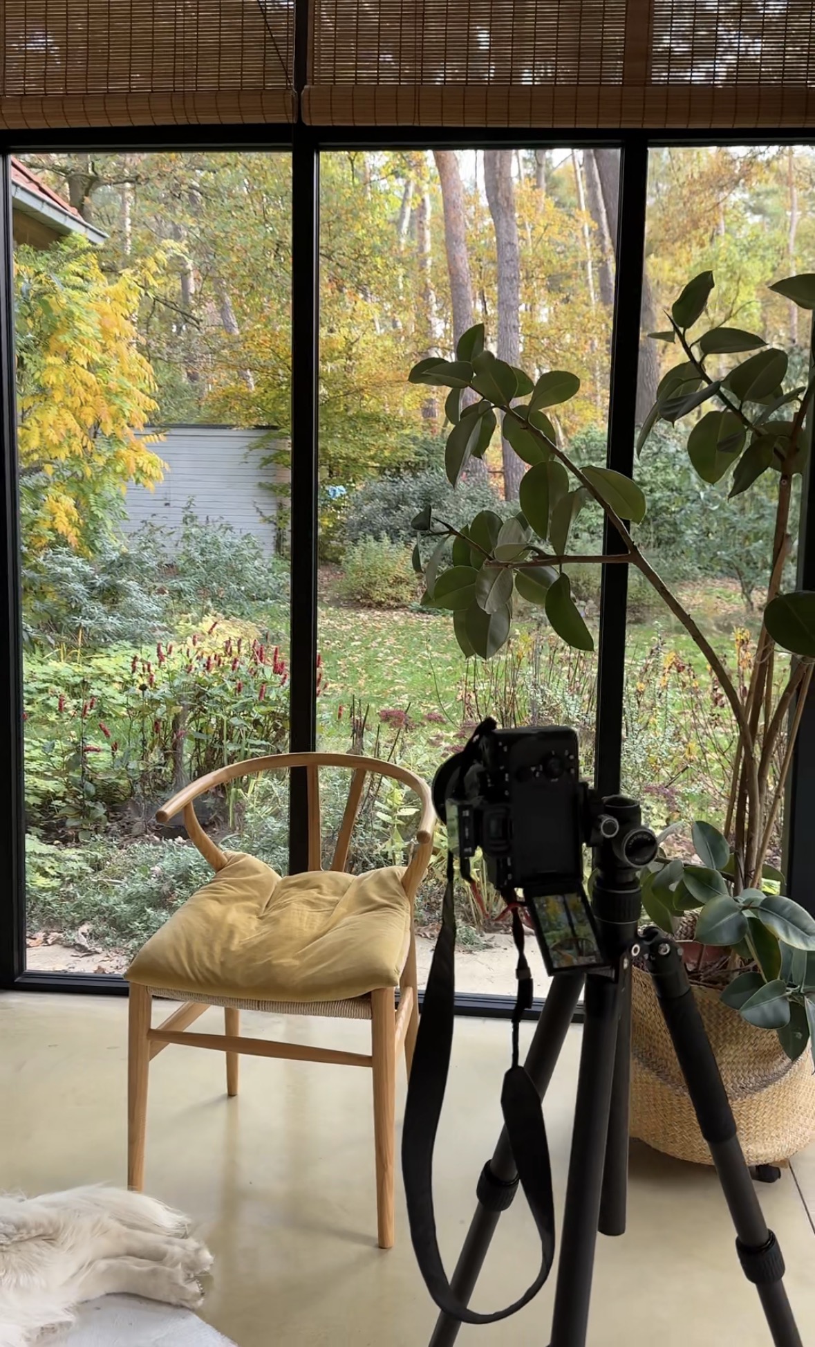 Stoel met uitzicht op tuin